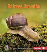 Slimy_Snails