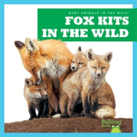 Fox_Kits_in_the_Wild