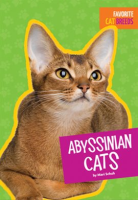 Abyssinian_Cats