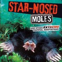 Star-Nosed_Moles_and_Other_Extreme_Mammal_Adaptations