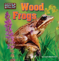 Wood_Frogs