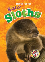 Baby_Sloths