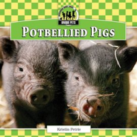 Potbellied_Pigs