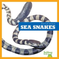 Sea_Snakes