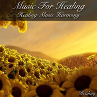 Music_For_Healing__Healing_Music_Harmony