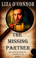 The_Missing_Partner