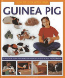 How_to_look_after_your_guinea_pig