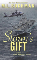 Storm_s_Gift__a_military_romantic_suspense_story