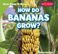 How_Do_Bananas_Grow_
