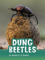 Dung_Beetles