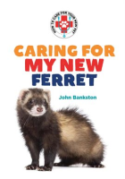 Caring_for_My_New_Ferret