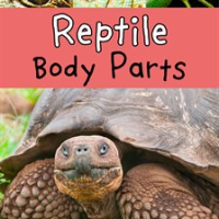 Reptile_Body_Parts