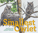 Smallest_Owlet