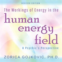 The_Workings_of_Energy_in_the_Human_Energy_Field