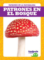 Patrones_en_el_bosque__Patterns_in_the_Forest_