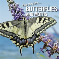 How_they_live____Butterflies_and_Moths