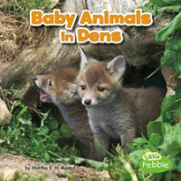 Baby_Animals_in_Dens