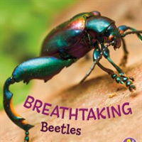 Breathtaking_Beetles