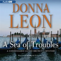 A_Sea_of_Troubles