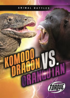 Komodo_Dragon_vs__Orangutan