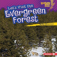 Let_s_Visit_the_Evergreen_Forest