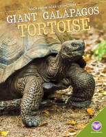 Giant_Gal__pagos_Tortoise