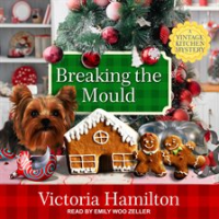 Breaking_the_Mould