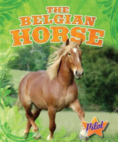 The_Belgian_Horse
