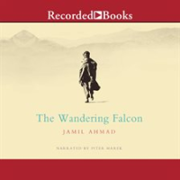 The_Wandering_Falcon