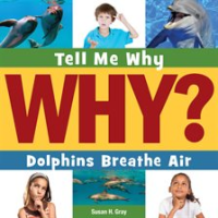 Dolphins_Breathe_Air