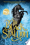 Black_Stallion