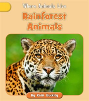 Rainforest_Animals