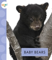 Baby_Bears