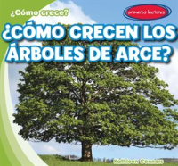 __C__mo_crecen_los___rboles_de_arce____How_Do_Maple_Trees_Grow_