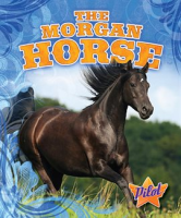 The_Morgan_Horse