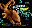 Mysterious__marvelous_octopus