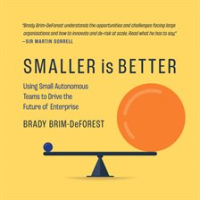 Smaller_Is_Better