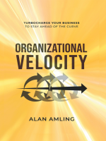 Organizational_Velocity