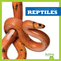 Reptiles__Reptiles_