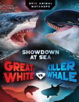 Great_White_vs__Killer_Whale