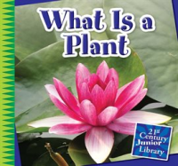 What_Is_a_Plant_