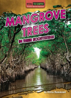 Mangrove_Trees_in_Their_Ecosystems