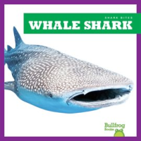 Whale_Shark