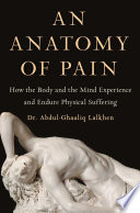 An_anatomy_of_pain