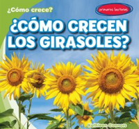 __C__mo_crecen_los_girasoles___How_Do_Sunflowers_Grow__