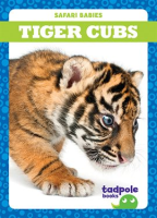 Tiger_Cubs