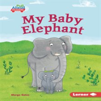 My_Baby_Elephant