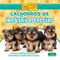 Cachorros_de_Yorkshire_terrier
