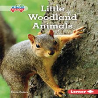 Little_Woodland_Animals