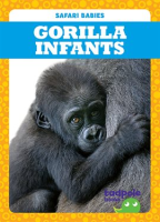 Gorilla_Infants